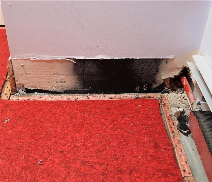Baseboard has been removed, mold found behind baseboard
